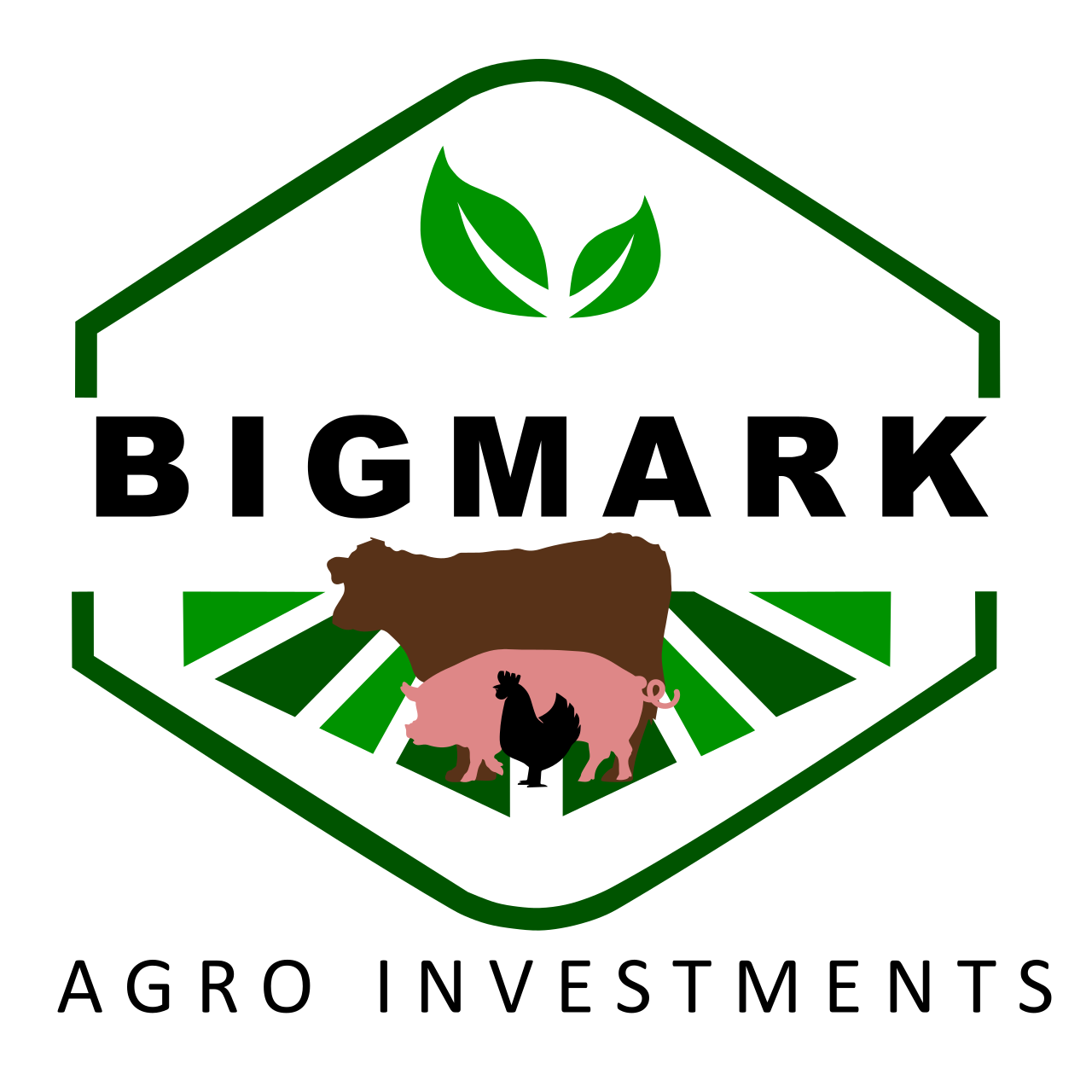 Bigmark Agro Investments